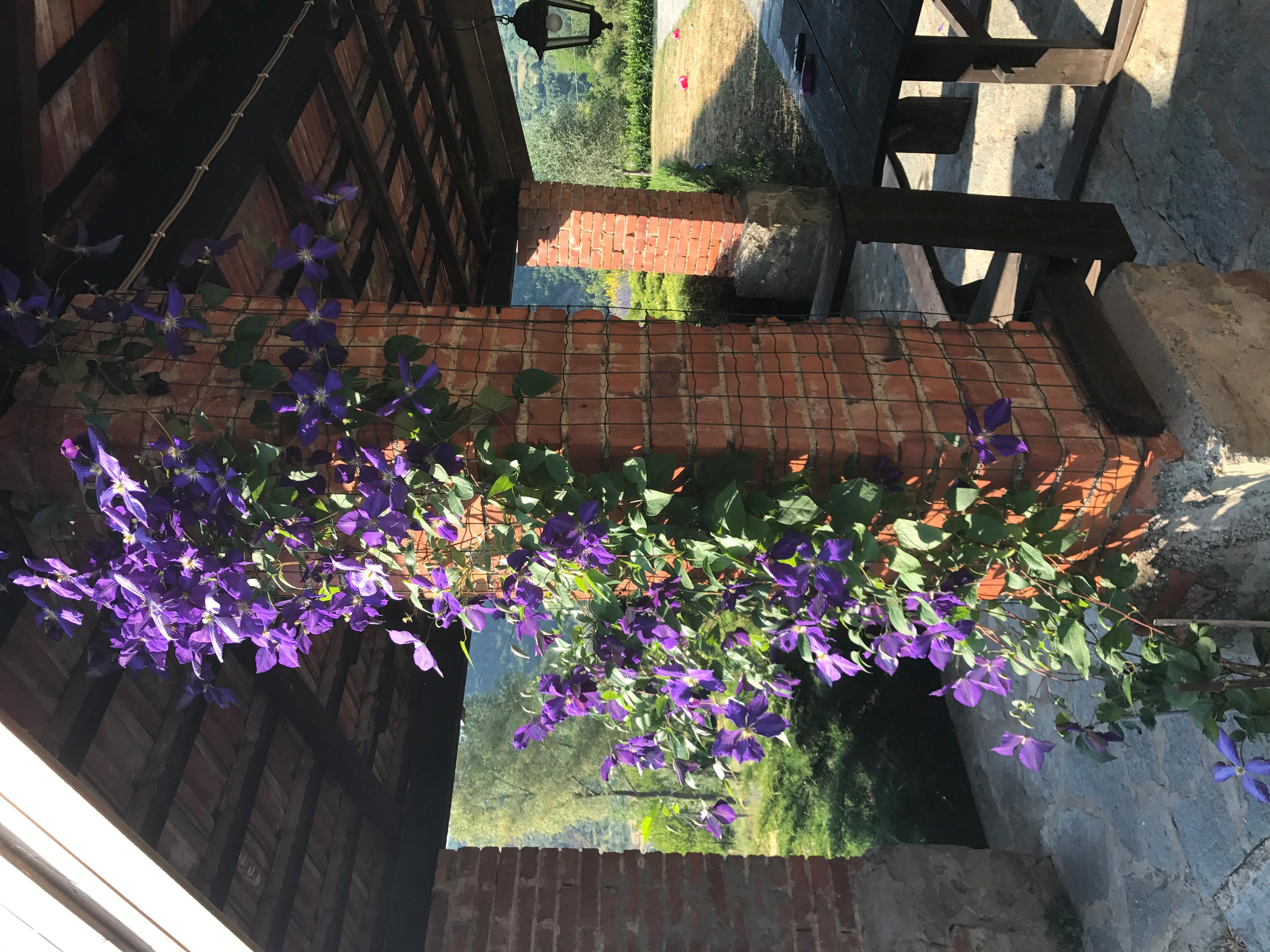 La patria; geografia dell' Italia. Cenni storici, costumi, topografia,  prodotti, industria, commercio, mari, fiumi, laghi, c, image size:4032x3024