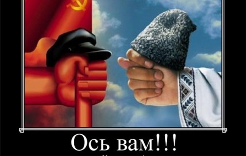 На российской границе задержаны злоумышленники, перегонявшие краденые автомобили по поддельным документам - Цензор.НЕТ 3120