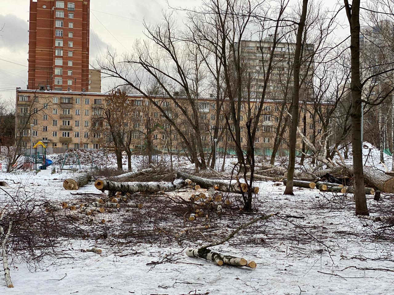 ЖК Фестиваль Парк 🏠 купить квартиру в Москве, цены с официального сайта  застройщика Центр-Инвест, продажа квартир в новых домах жилого комплекса Фестиваль  Парк | Avaho.ru