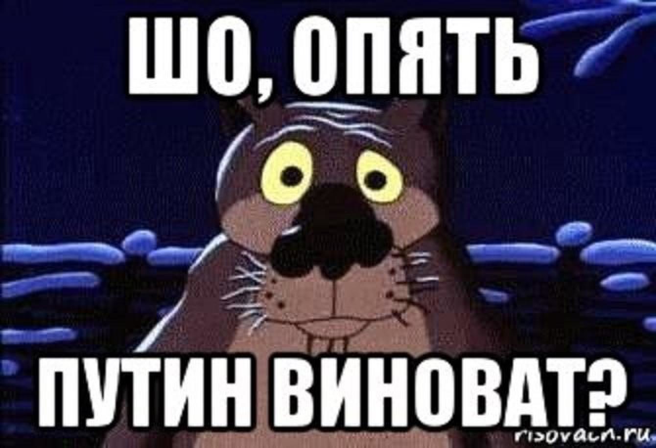 Опять верно. Это Путин виноват. Во всём виноват Путин. Опять Путин виноват. Шо опять Путин виноват.