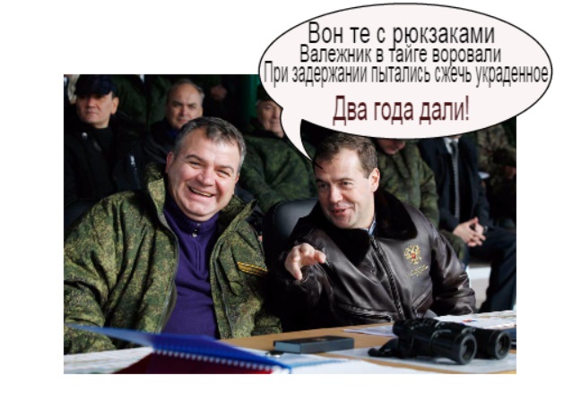 Держдума РФ дозволила росіянам безкоштовно збирати хмиз: "Просто радіє серце" - Цензор.НЕТ 3810