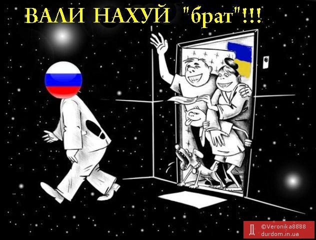 "Мы их душили, душили": боевики будут отстреливать бездомных собак на оккупированных территориях Донбасса - Цензор.НЕТ 7687