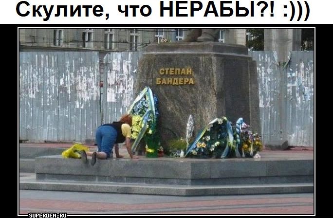 https://media.cackle.me/c/dd/b116d9973b65f5453d259e706283eddc.jpg